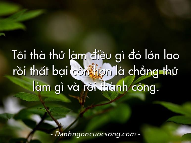 Tôi thà thử làm điều gì đó lớn lao rồi thất bại còn hơn là chẳng thử làm gì và rồi thành công.