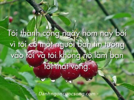 Tôi thành công ngày hôm nay bởi vì tôi có một người bạn tin tưởng vào tôi và tôi không nỡ làm bạn tôi thất vọng.
