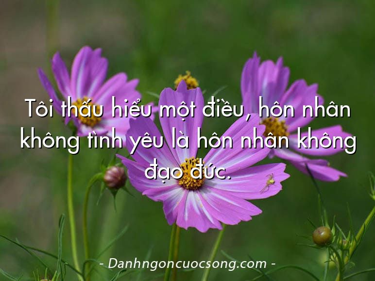 Tôi thấu hiểu một điều, hôn nhân không tình yêu là hôn nhân không đạo đức.