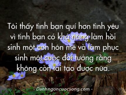 Tôi thấy tình bạn quí hơn tình yêu vì tình bạn có khả năng làm hồi sinh một cơn hôn mê và làm phục sinh một cuộc đời tưởng rằng không còn tái tạo được nữa.