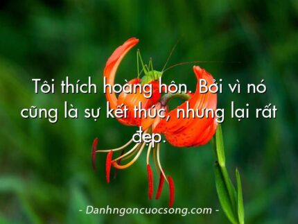 Tôi thích hoàng hôn. Bởi vì nó cũng là sự kết thúc, nhưng lại rất đẹp.