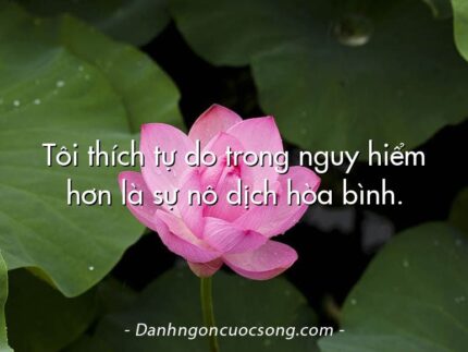 Tôi thích tự do trong nguy hiểm hơn là sự nô dịch hòa bình.