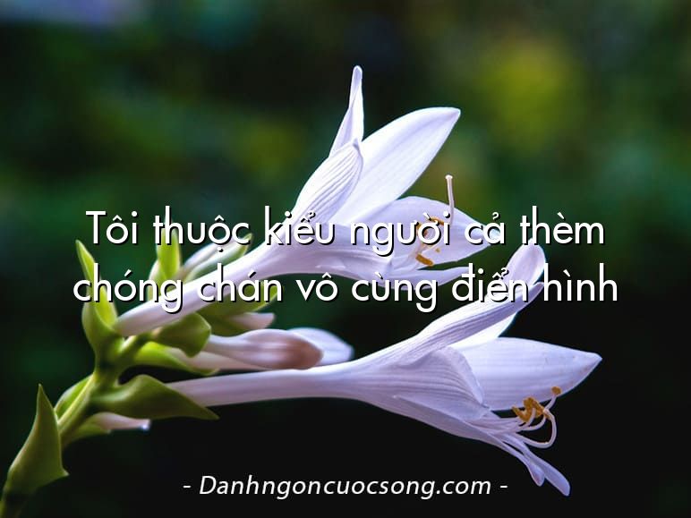 Tôi thuộc kiểu người cả thèm chóng chán vô cùng điển hình