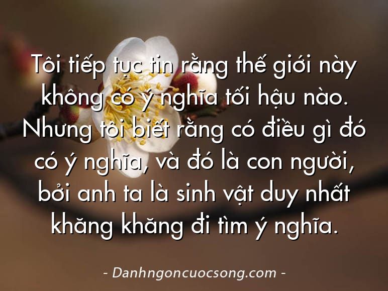 Tôi tiếp tục tin rằng thế giới này không có ý nghĩa tối hậu nào. Nhưng tôi biết rằng có điều gì đó có ý nghĩa, và đó là con người, bởi anh ta là sinh vật duy nhất khăng khăng đi tìm ý nghĩa.