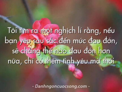 Tôi tìm ra một nghịch lí rằng, nếu bạn yêu sâu sắc đến mức đau đớn, sẽ chẳng thể nào đau đớn hơn nữa, chỉ có thêm tình yêu mà thôi