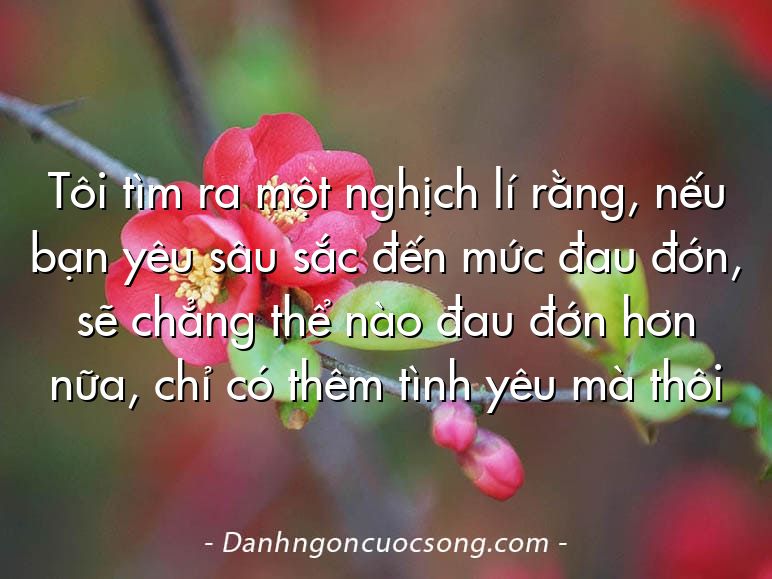 Tôi tìm ra một nghịch lí rằng, nếu bạn yêu sâu sắc đến mức đau đớn, sẽ chẳng thể nào đau đớn hơn nữa, chỉ có thêm tình yêu mà thôi