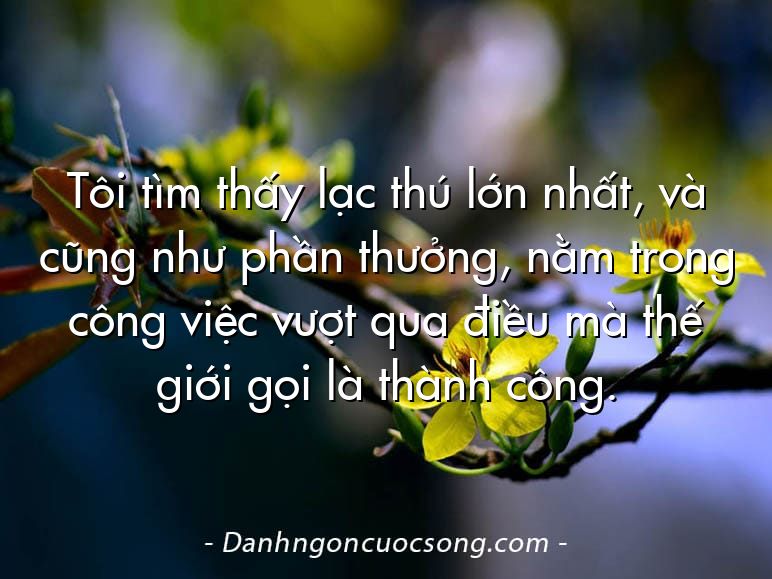 Tôi tìm thấy lạc thú lớn nhất, và cũng như phần thưởng, nằm trong công việc vượt qua điều mà thế giới gọi là thành công.