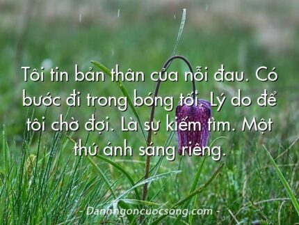 Tôi tin bản thân của nỗi đau. Có bước đi trong bóng tối. Lý do để tôi chờ đợi. Là sự kiếm tìm. Một thứ ánh sáng riêng.