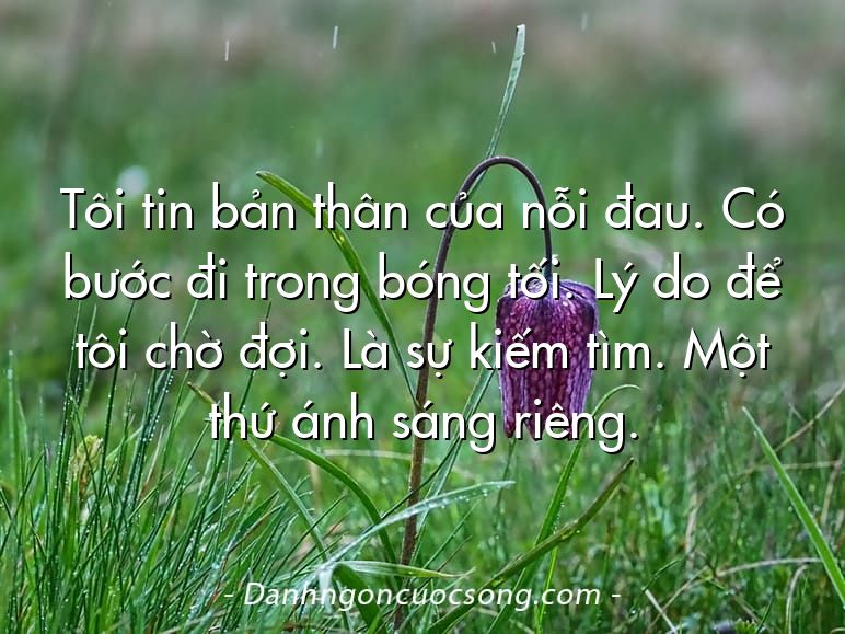 Tôi tin bản thân của nỗi đau. Có bước đi trong bóng tối. Lý do để tôi chờ đợi. Là sự kiếm tìm. Một thứ ánh sáng riêng.