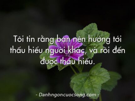 Tôi tin rằng bạn nên hướng tới thấu hiểu người khác, và rồi đến được thấu hiểu.