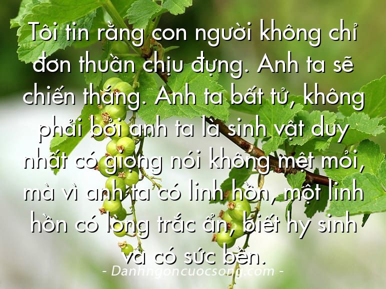 Tôi tin rằng con người không chỉ đơn thuần chịu đựng. Anh ta sẽ chiến thắng. Anh ta bất tử, không phải bởi anh ta là sinh vật duy nhất có giọng nói không mệt mỏi, mà vì anh ta có linh hồn, một linh hồn có lòng trắc ẩn, biết hy sinh và có sức bền.