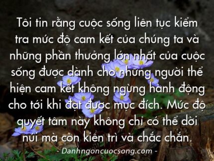 Tôi tin rằng cuộc sống liên tục kiểm tra mức độ cam kết của chúng ta và những phần thưởng lớn nhất của cuộc sống được dành cho những người thể hiện cam kết không ngừng hành động cho tới khi đạt được mục đích. Mức độ quyết tâm này không chỉ có thể dời núi mà còn kiên trì và chắc chắn.
