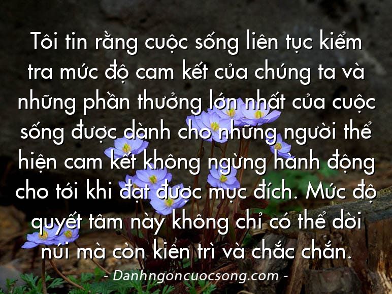 Tôi tin rằng cuộc sống liên tục kiểm tra mức độ cam kết của chúng ta và những phần thưởng lớn nhất của cuộc sống được dành cho những người thể hiện cam kết không ngừng hành động cho tới khi đạt được mục đích. Mức độ quyết tâm này không chỉ có thể dời núi mà còn kiên trì và chắc chắn.