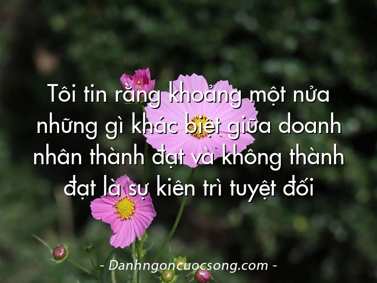 Tôi tin rằng khoảng một nửa những gì khác biệt giữa doanh nhân thành đạt và không thành đạt là sự kiên trì tuyệt đối