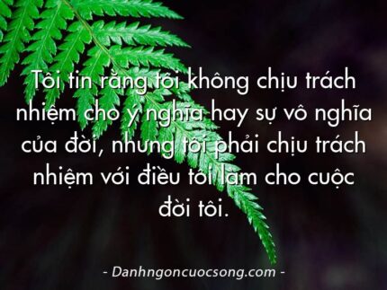 Tôi tin rằng tôi không chịu trách nhiệm cho ý nghĩa hay sự vô nghĩa của đời, nhưng tôi phải chịu trách nhiệm với điều tôi làm cho cuộc đời tôi.