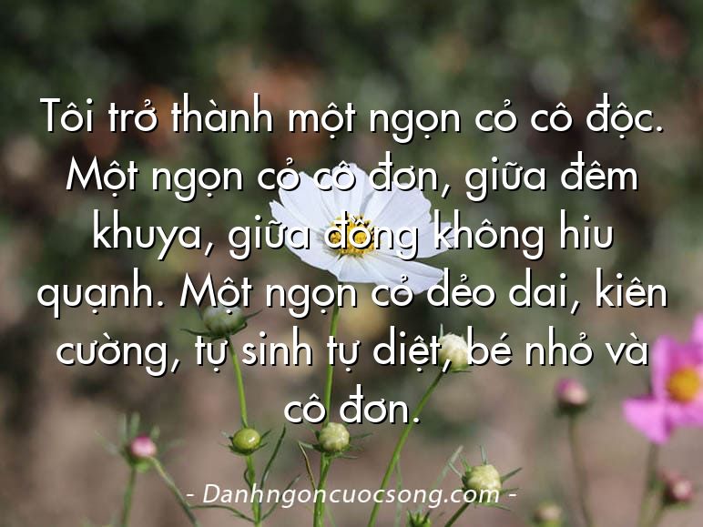 Tôi trở thành một ngọn cỏ cô độc. Một ngọn cỏ cô đơn, giữa đêm khuya, giữa đồng không hiu quạnh. Một ngọn cỏ dẻo dai, kiên cường, tự sinh tự diệt, bé nhỏ và cô đơn.