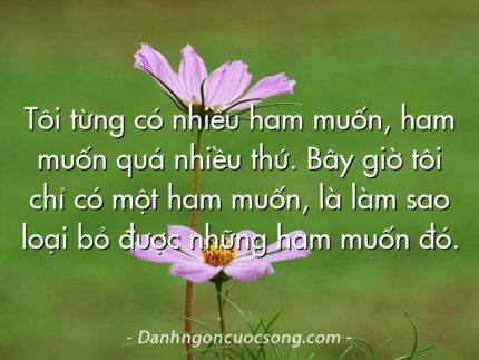 Tôi từng có nhiều ham muốn, ham muốn quá nhiều thứ. Bây giờ tôi chỉ có một ham muốn, là làm sao loại bỏ được những ham muốn đó.
