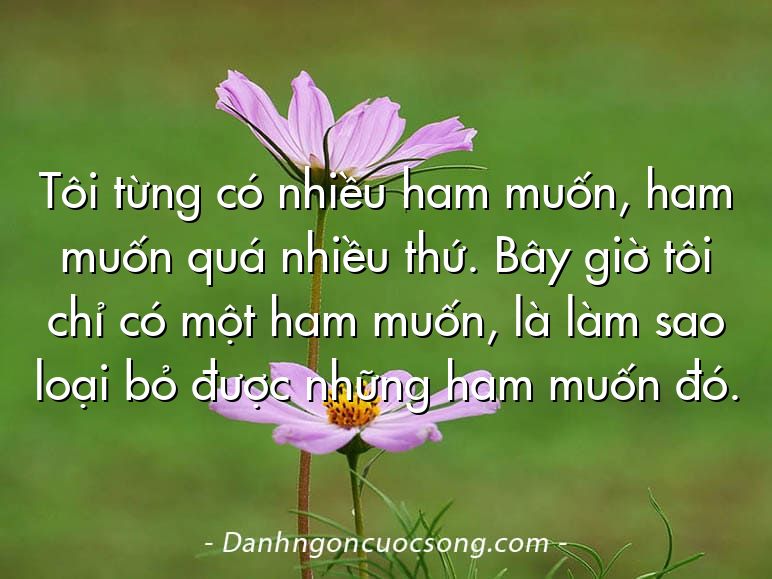 Tôi từng có nhiều ham muốn, ham muốn quá nhiều thứ. Bây giờ tôi chỉ có một ham muốn, là làm sao loại bỏ được những ham muốn đó.