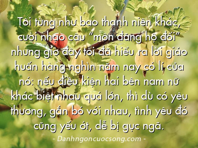 Tôi từng như bao thanh niên khác, cười nhạo câu “môn đăng hộ đối” nhưng giờ đây tôi đã hiểu ra lời giáo huấn hàng nghìn năm nay có lí của nó: nếu điều kiện hai bên nam nữ khác biệt nhau quá lớn, thì dù có yêu thương, gắn bó với nhau, tình yêu đó cũng yếu ớt, dễ bị gục ngã.
