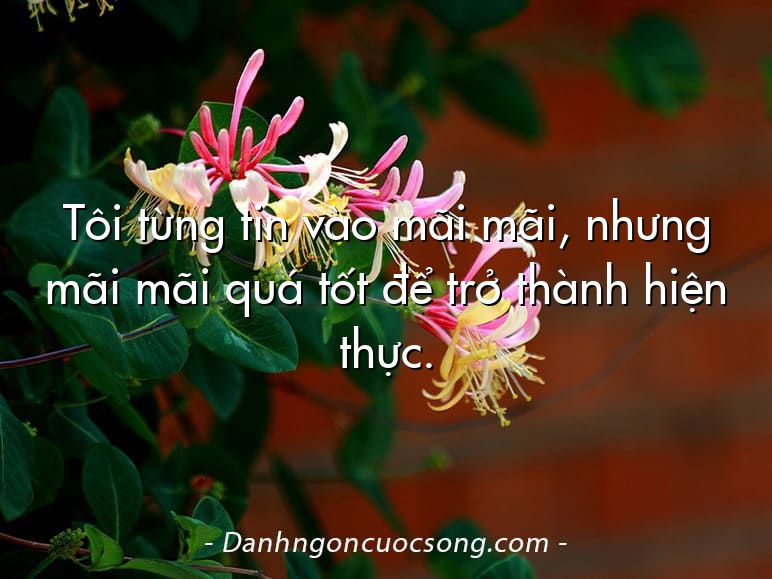 Tôi từng tin vào mãi mãi, nhưng mãi mãi quá tốt để trở thành hiện thực.