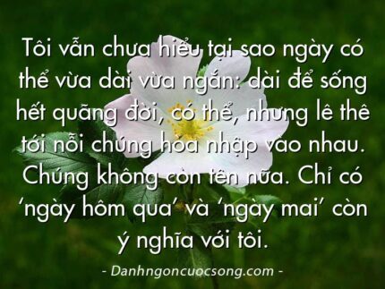 Tôi vẫn chưa hiểu tại sao ngày có thể vừa dài vừa ngắn: dài để sống hết quãng đời, có thể, nhưng lê thê tới nỗi chúng hòa nhập vào nhau. Chúng không còn tên nữa. Chỉ có ‘ngày hôm qua’ và ‘ngày mai’ còn ý nghĩa với tôi.