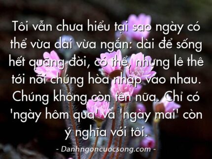 Tôi vẫn chưa hiểu tại sao ngày có thể vừa dài vừa ngắn: dài để sống hết quãng đời, có thể, nhưng lê thê tới nỗi chúng hòa nhập vào nhau. Chúng không còn tên nữa. Chỉ có 'ngày hôm qua' và 'ngày mai' còn ý nghĩa với tôi.