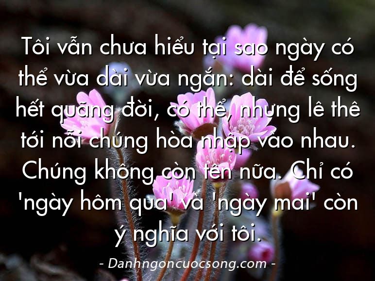 Tôi vẫn chưa hiểu tại sao ngày có thể vừa dài vừa ngắn: dài để sống hết quãng đời, có thể, nhưng lê thê tới nỗi chúng hòa nhập vào nhau. Chúng không còn tên nữa. Chỉ có 'ngày hôm qua' và 'ngày mai' còn ý nghĩa với tôi.