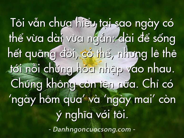 Tôi vẫn chưa hiểu tại sao ngày có thể vừa dài vừa ngắn: dài để sống hết quãng đời, có thể, nhưng lê thê tới nỗi chúng hòa nhập vào nhau. Chúng không còn tên nữa. Chỉ có ‘ngày hôm qua’ và ‘ngày mai’ còn ý nghĩa với tôi.