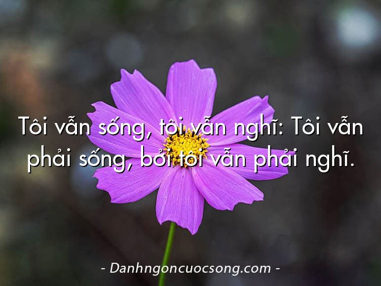 Tôi vẫn sống, tôi vẫn nghĩ: Tôi vẫn phải sống, bởi tôi vẫn phải nghĩ.