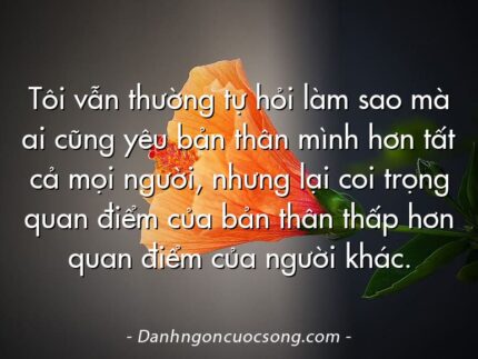 Tôi vẫn thường tự hỏi làm sao mà ai cũng yêu bản thân mình hơn tất cả mọi người, nhưng lại coi trọng quan điểm của bản thân thấp hơn quan điểm của người khác.
