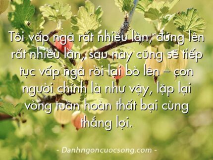 Tôi vấp ngã rất nhiều lần, đứng lên rất nhiều lần, sau này cũng sẽ tiếp tục vấp ngã rồi lại bò lên – con người chính là như vậy, lặp lại vòng tuần hoàn thất bại cùng thắng lợi.