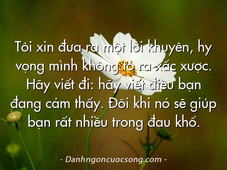 Tôi xin đưa ra một lời khuyên, hy vọng mình không tỏ ra xấc xược. Hãy viết đi: hãy viết điều bạn đang cảm thấy. Đôi khi nó sẽ giúp bạn rất nhiều trong đau khổ.