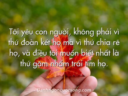 Tôi yêu con người, không phải vì thứ đoàn kết họ mà vì thứ chia rẽ họ, và điều tôi muốn biết nhất là thứ gặm nhấm trái tim họ.