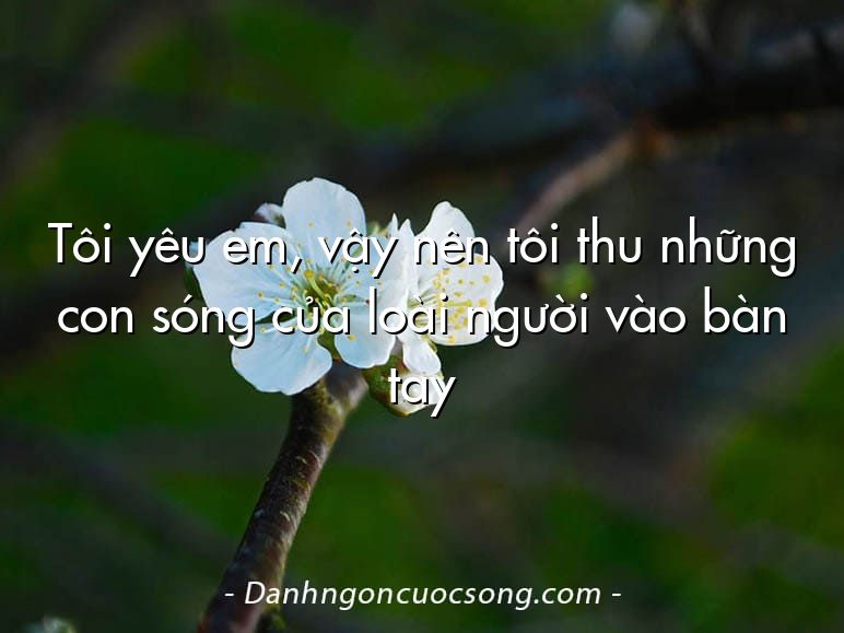 Tôi yêu em, vậy nên tôi thu những con sóng của loài người vào bàn tay