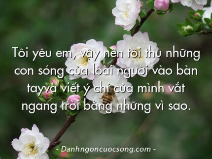 Tôi yêu em, vậy nên tôi thu những con sóng của loài người vào bàn tayvà viết ý chí của mình vắt ngang trời bằng những vì sao.