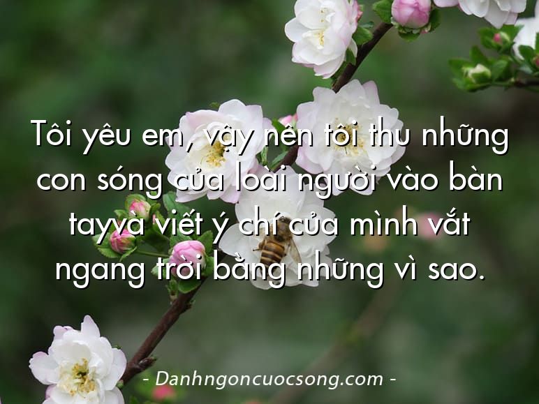 Tôi yêu em, vậy nên tôi thu những con sóng của loài người vào bàn tayvà viết ý chí của mình vắt ngang trời bằng những vì sao.