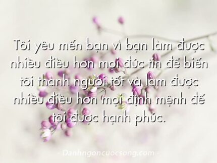 Tôi yêu mến bạn vì bạn làm được nhiều điều hơn mọi đức tin để biến tôi thành người tốt và làm được nhiều điều hơn mọi định mệnh để tôi được hạnh phúc.