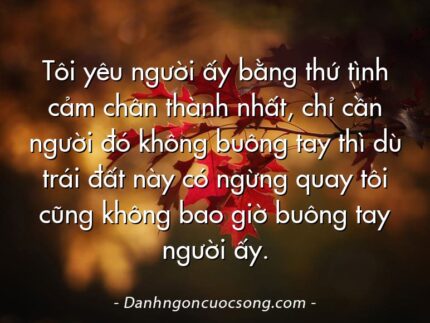 Tôi yêu người ấy bằng thứ tình cảm chân thành nhất, chỉ cần người đó không buông tay thì dù trái đất này có ngừng quay tôi cũng không bao giờ buông tay người ấy.