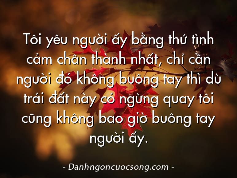 Tôi yêu người ấy bằng thứ tình cảm chân thành nhất, chỉ cần người đó không buông tay thì dù trái đất này có ngừng quay tôi cũng không bao giờ buông tay người ấy.