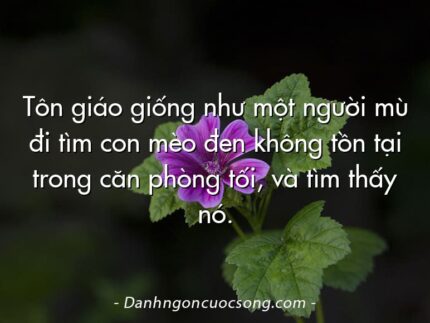 Tôn giáo giống như một người mù đi tìm con mèo đen không tồn tại trong căn phòng tối, và tìm thấy nó.