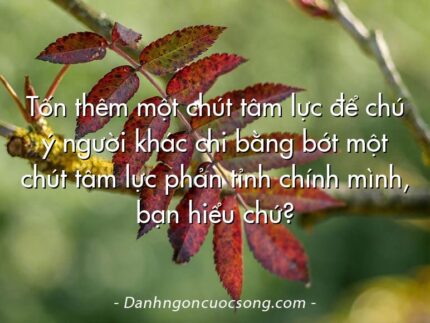 Tốn thêm một chút tâm lực để chú ý người khác chi bằng bớt một chút tâm lực phản tỉnh chính mình, bạn hiểu chứ?