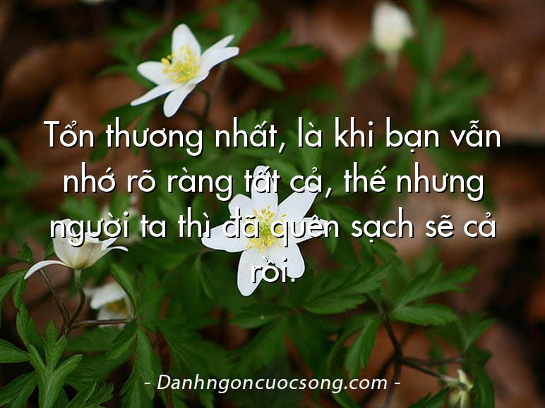 Tổn thương nhất, là khi bạn vẫn nhớ rõ ràng tất cả, thế nhưng người ta thì đã quên sạch sẽ cả rồi.