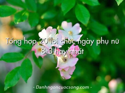 Tổng hợp 20 lời chúc ngày phụ nữ 8-3 hay nhất