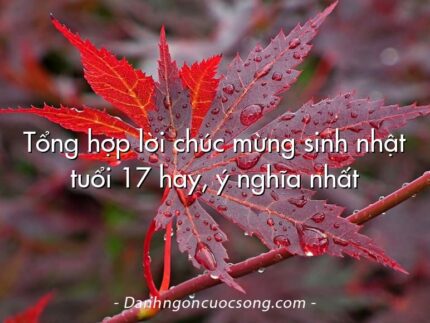 Tổng hợp lời chúc mừng sinh nhật tuổi 17 hay, ý nghĩa nhất
