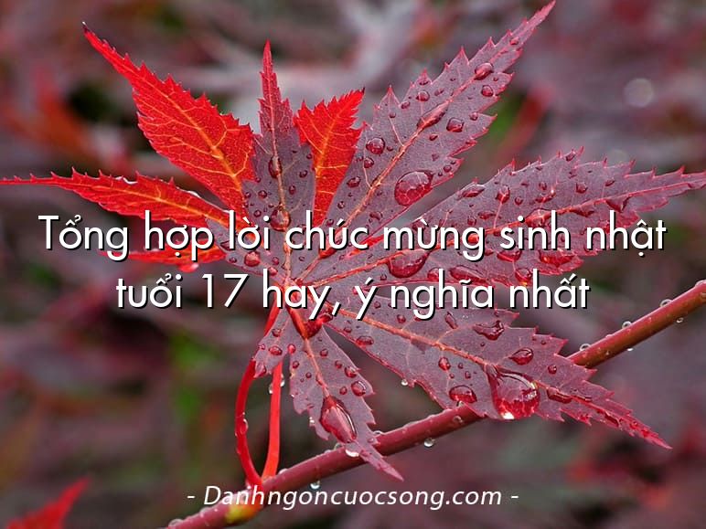 Tổng hợp lời chúc mừng sinh nhật tuổi 17 hay, ý nghĩa nhất