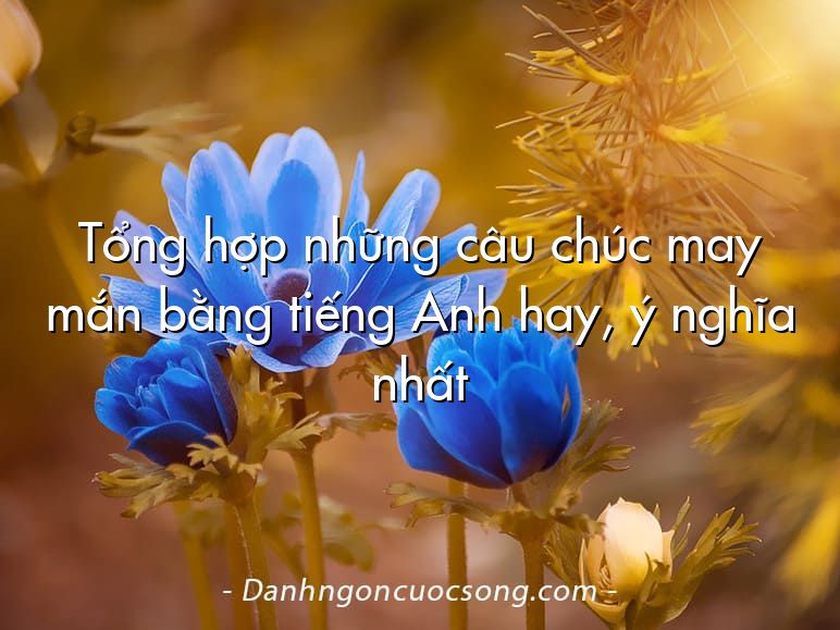 Tổng hợp những câu chúc may mắn bằng tiếng Anh hay, ý nghĩa nhất