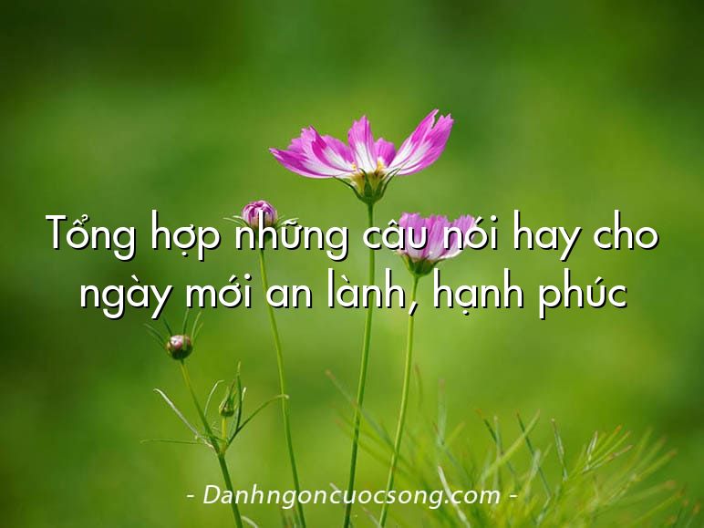 Tổng hợp những câu nói hay cho ngày mới an lành, hạnh phúc