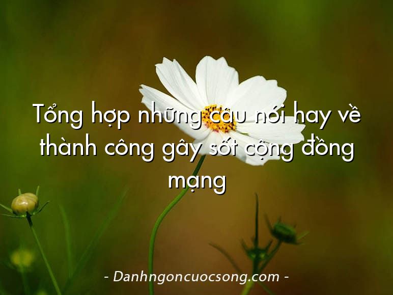 Tổng hợp những câu nói hay về thành công gây sốt cộng đồng mạng