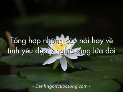 Tổng hợp những câu nói hay về tình yêu đẹp ý nghĩa tặng lứa đôi