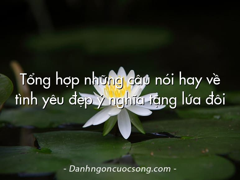 Tổng hợp những câu nói hay về tình yêu đẹp ý nghĩa tặng lứa đôi